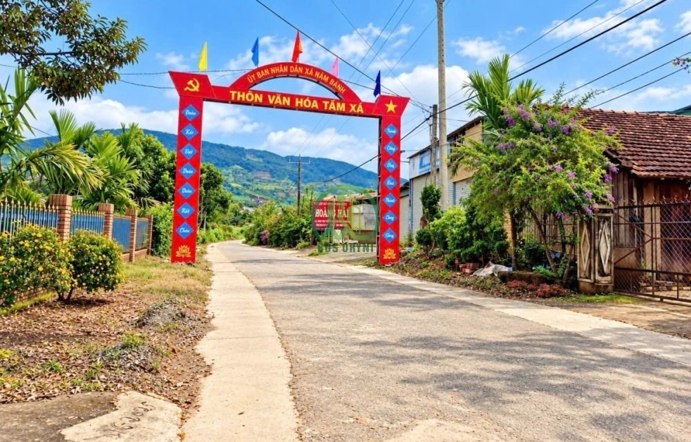 🏡 CẦN BÁN ĐẤT VIEW ĐỒI THÔNG 360 ĐỘ TẠI NAM BAN (ĐÔNG THANH), LÂM HÀ