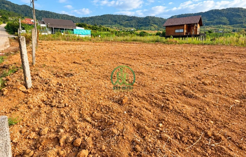🏡 CẦN BÁN ĐẤT VIEW ĐỒI THÔNG 360 ĐỘ TẠI NAM BAN (ĐÔNG THANH), LÂM HÀ