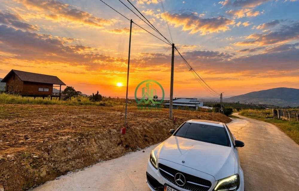 🏡 CẦN BÁN ĐẤT VIEW ĐỒI THÔNG 360 ĐỘ TẠI NAM BAN (ĐÔNG THANH), LÂM HÀ