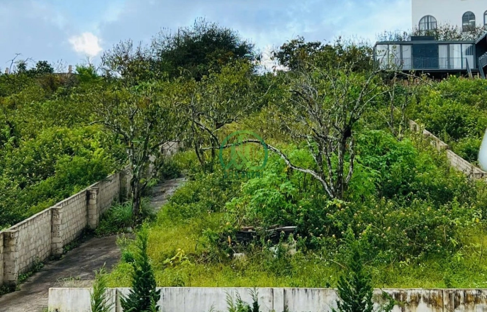 🏡 CẦN BÁN ĐẤT MĂNGLIN, P. LANGBIANG- ĐÀ LẠT (P. 7 CŨ)