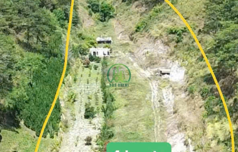 🏡 CẦN BÁN 4 HECTA ĐẤT ĐẸP KHU VỰC ĐÈO PRENN- ĐÀ LẠT