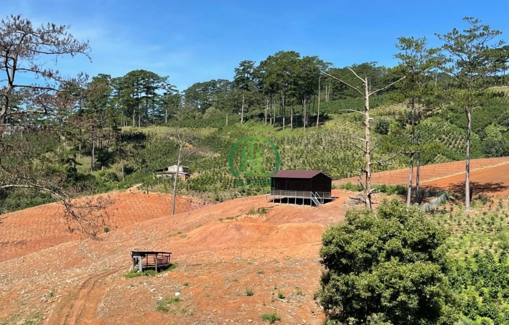 🌟 CẦN BÁN NHÀ ĐẤT XUÂN THỌ, P. XUÂN TRƯỜNG - ĐÀ LẠT