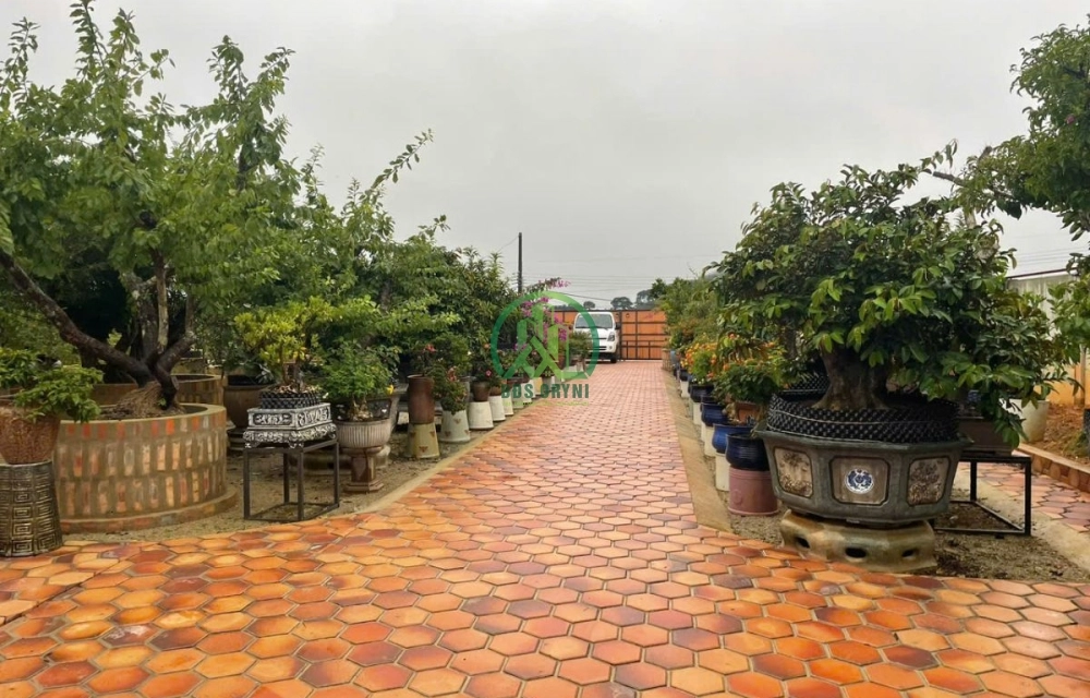 💥 CẦN BÁN NHÀ ĐẤT TẠI XUÂN THỌ - P.XUÂN TRƯỜNG - ĐÀ LẠT 💥