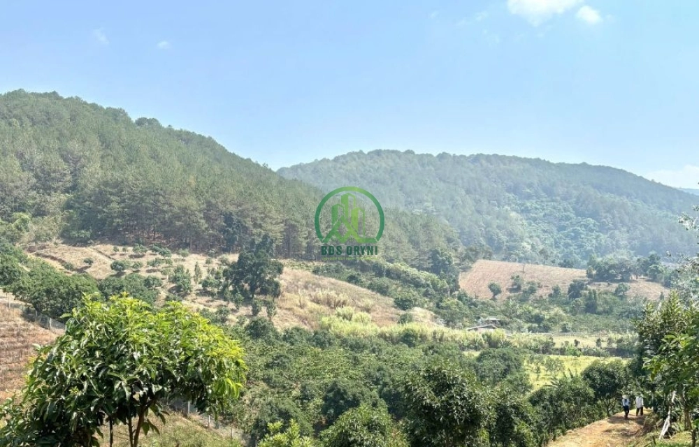 ✨ CẦN BÁN 3800 M2 ĐẤT TẠI MÊ LINH, LÂM HÀ