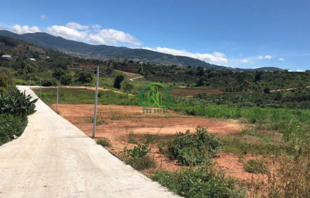 💥 CẦN BÁN 22 LÔ ĐẤT SỔ RIÊNG VIEW ĐẸP TẠI NAM BAN - LÂM HÀ - LÂM ĐỒNG