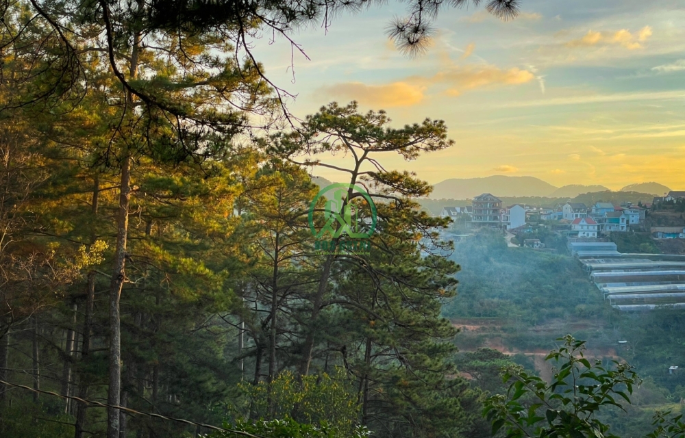 NHÀ NHỎ XINH VIEW RỪNG THÔNG HOÀNG HOA THÁM, P10, ĐÀ LẠT - GIÁ 1,7 tỷ