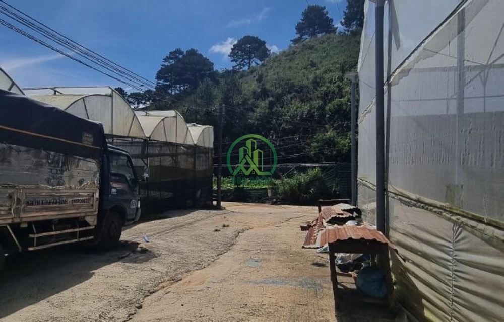 Cần bán đất đường An Tôn, Phường 5, Tp. Đà Lạt
