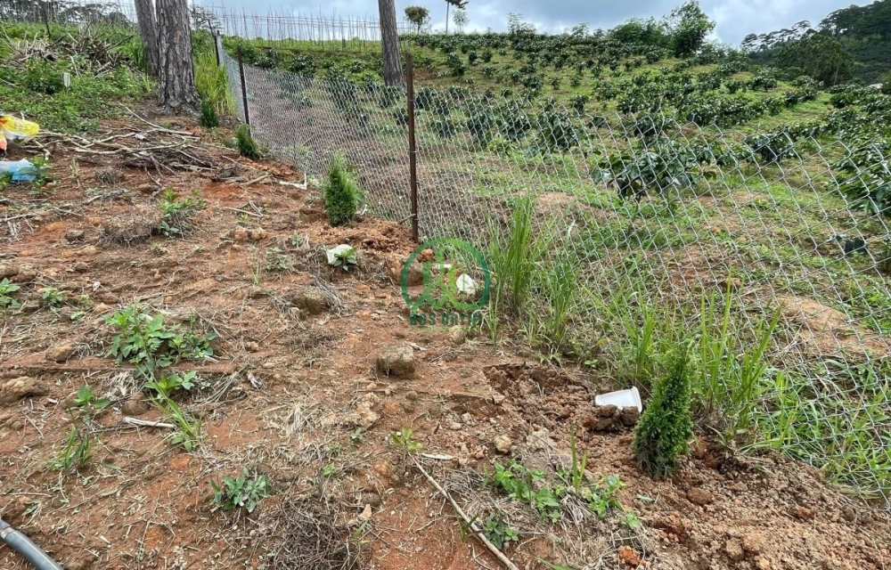 🌟 CẦN BÁN NHÀ ĐẤT XUÂN THỌ, P. XUÂN TRƯỜNG - ĐÀ LẠT