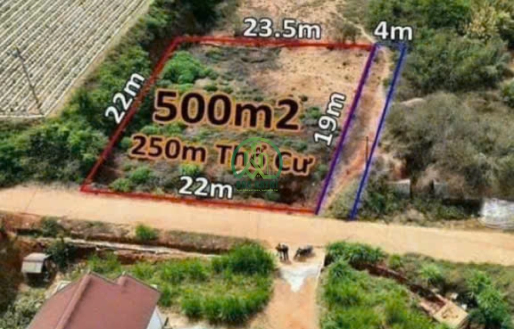 🌟 CẦN BÁN 500M2 ĐẤT XUÂN THỌ, P. XUÂN TRƯỜNG - ĐÀ LẠT