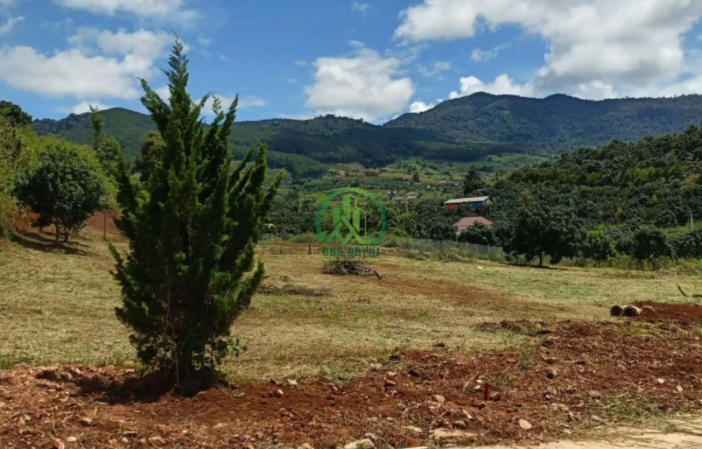 🏡 CẦN BÁN 7 LÔ ĐẤT TẠI NAM BAN, LÂM HÀ, LÂM ĐỒNG