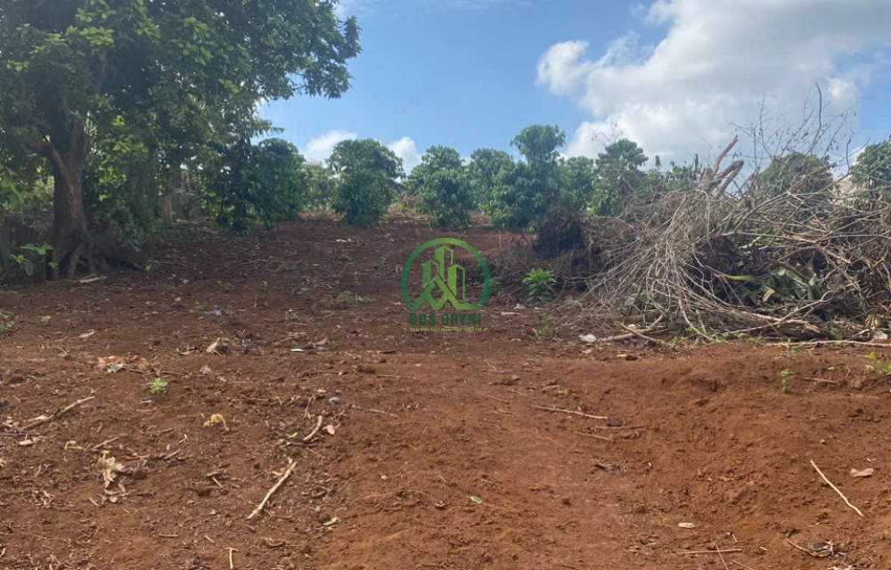 🌟 CẦN BÁN LÔ ĐẤT VIEW SIÊU ĐẸP TẠI NAM BAN - LÂM HÀ