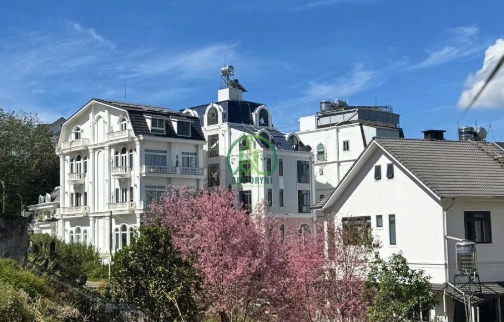 💥 CẦN BÁN 02 LÔ ĐẤT ĐƯỜNG TÔ HIẾN THÀNH, P. XUÂN HƯƠNG - ĐÀ LẠT