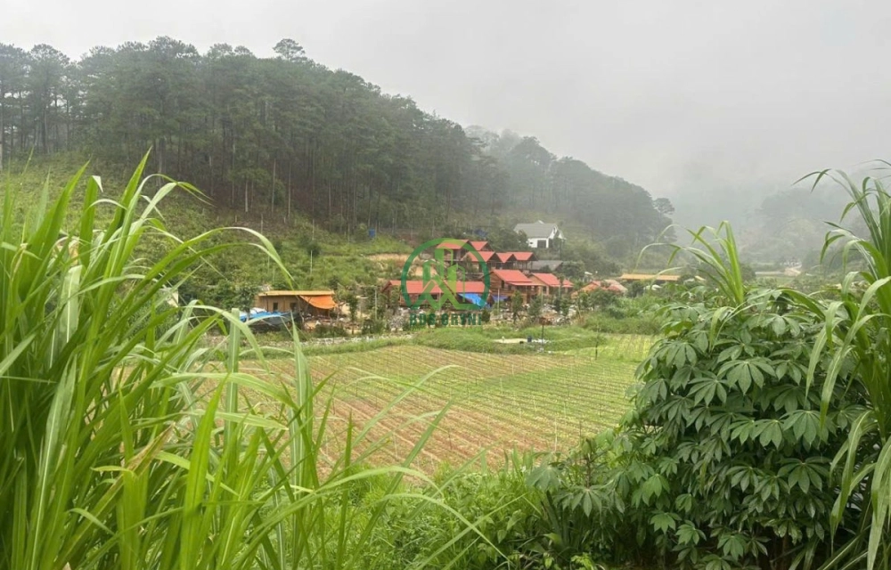 🌟 CẦN BÁN ĐẤT 2 MẶT TIỀN TẠI HIỆP AN - ĐỨC TRỌNG