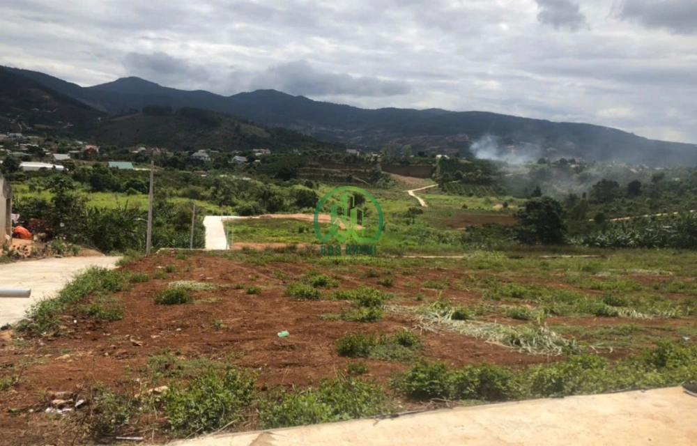 💥 CẦN BÁN 22 LÔ ĐẤT SỔ RIÊNG VIEW ĐẸP TẠI NAM BAN - LÂM HÀ - LÂM ĐỒNG