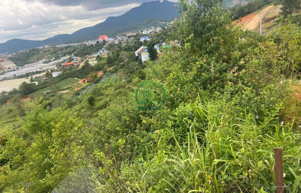 💥 CẦN BÁN LÔ ĐẤT ĐẸP MẶT TIỀN ĐẠ SAR - LẠC DƯƠNG