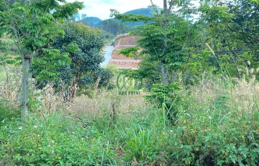 🌤 CẦN BÁN 2 LÔ ĐẤT NAM BAN - LÂM HÀ