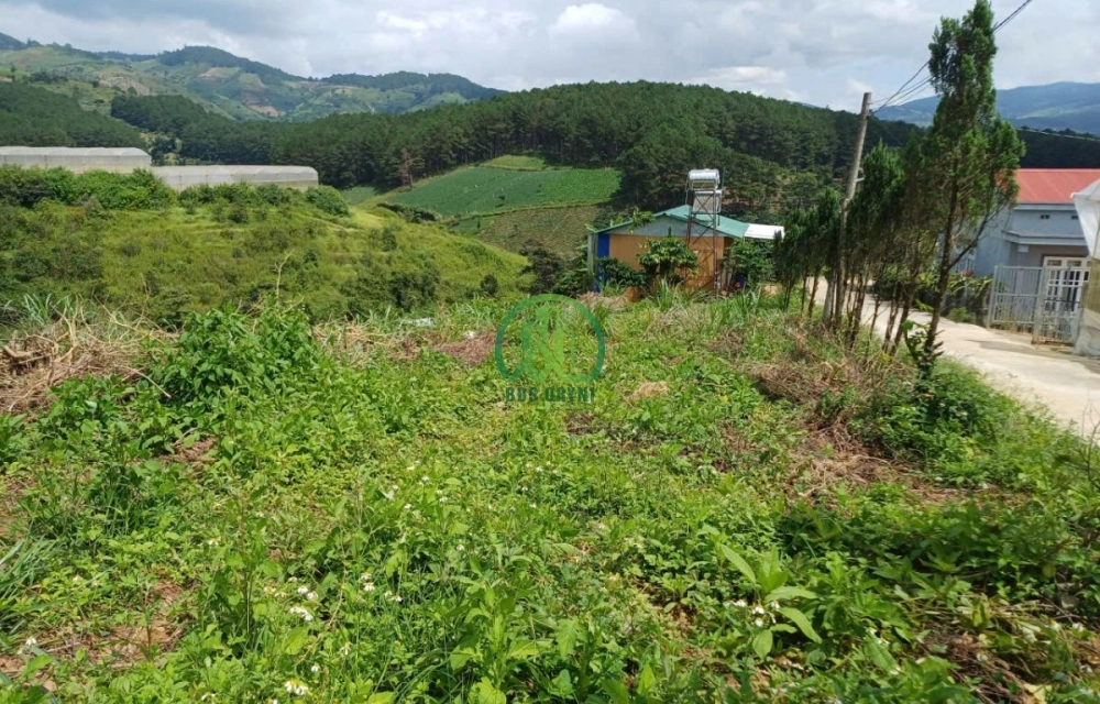 💥 CẦN BÁN ĐẤT ĐẸP TÀ NUNG, P. CAM LY - ĐÀ LẠT