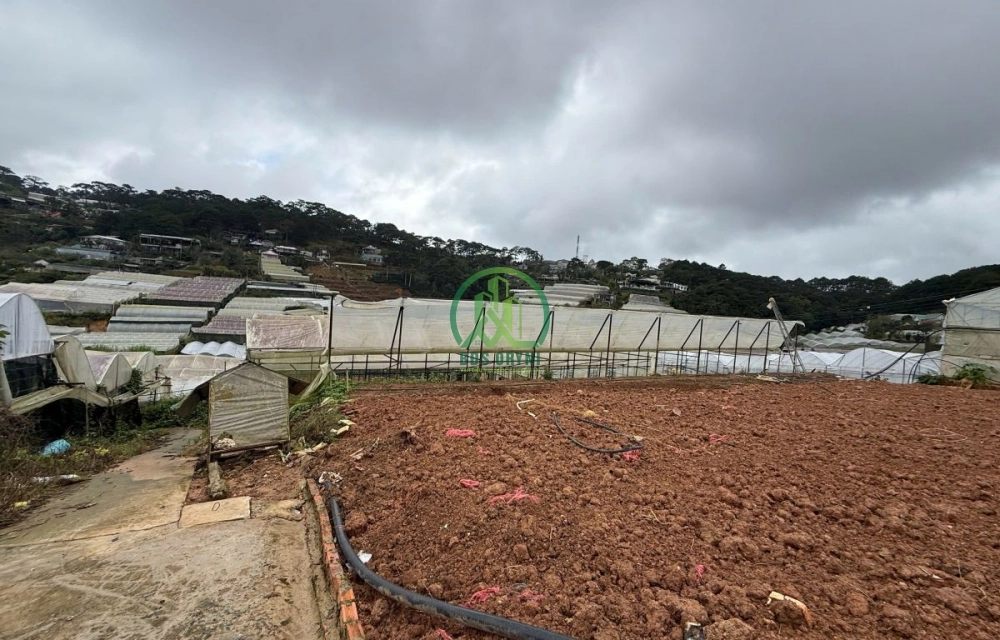 🌤 CẦN BÁN LÔ ĐẤT TRỊNH HOÀI ĐỨC, P. XUÂN TRƯỜNG - ĐÀ LẠT (P11 cũ)