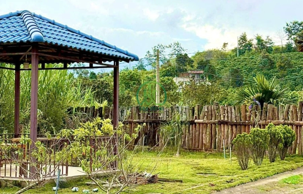 🌟 CẦN BÁN NHÀ ĐẤT TẠI LÂM HÀ - LÂM ĐỒNG 💥