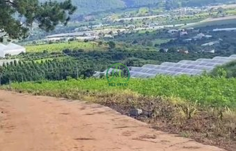 CẦN BÁN ĐẤT 2 MẶT TIỀN THỊ TRẤN NAM BAN - LÂM HÀ