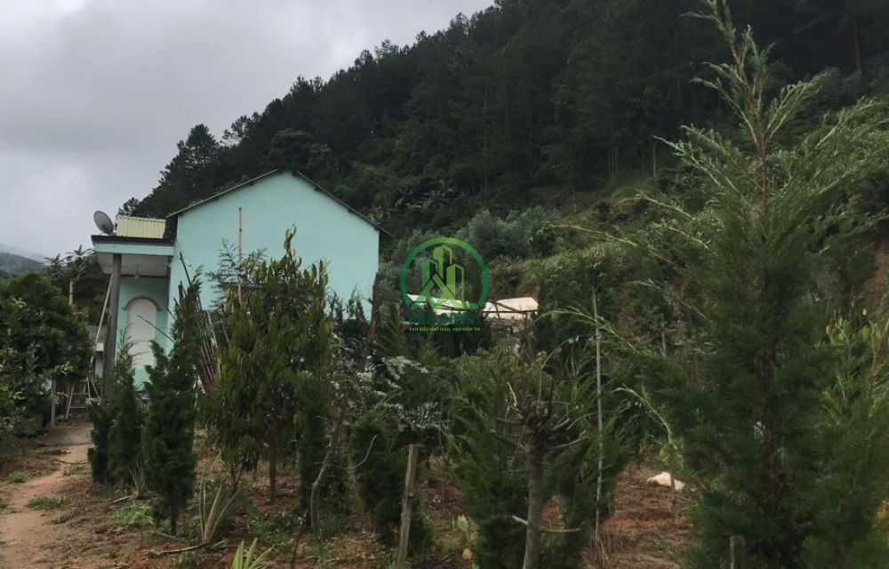 CẦN BÁN ĐẤT TÀ NUNG - P. CAM LY- ĐÀ LẠT