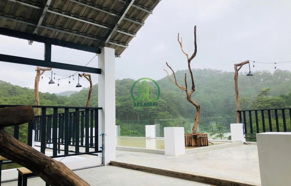 Cần bán homestay đường hoàng hoa thám phường 10 tp đà lạt