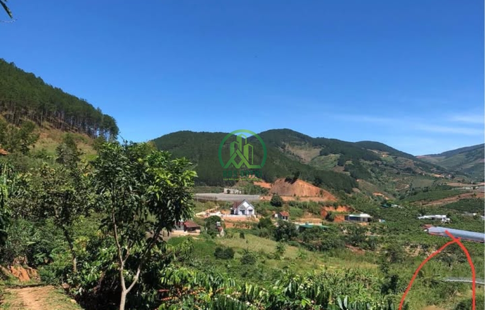 CẦN BÁN ĐẤT 2 MẶT ĐƯỜNG XÃ MÊ LINH - LÂM HÀ