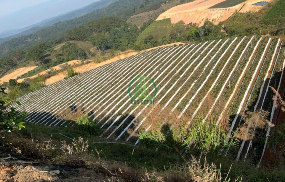 ✨ CẦN BÁN ĐẤT XÃ LÁT, LẠC DƯƠNG,P. LANGBIANG - ĐÀ LẠT