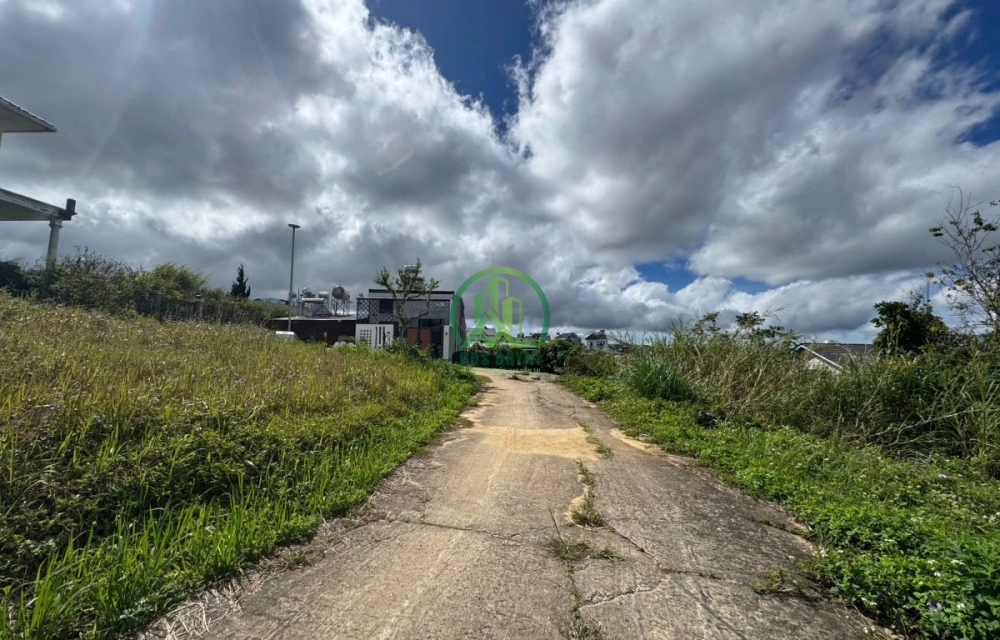 🌤 CẦN BÁN 05 LÔ ĐẤT VIEW SIÊU ĐẸP ĐƯỜNG BẠCH ĐẰNG, P. LANGBIANG - ĐÀ LẠT