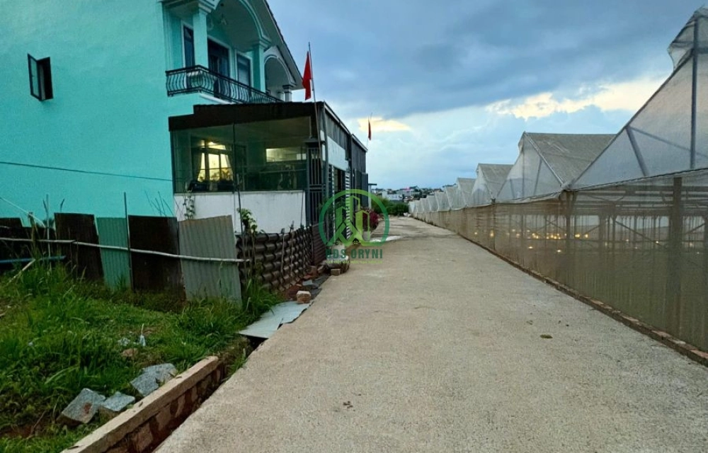 🌟 CẦN BÁN ĐẤT TẠI THỊ TRẤN LẠC DƯƠNG, P. LANGBIANG - ĐÀ LẠT