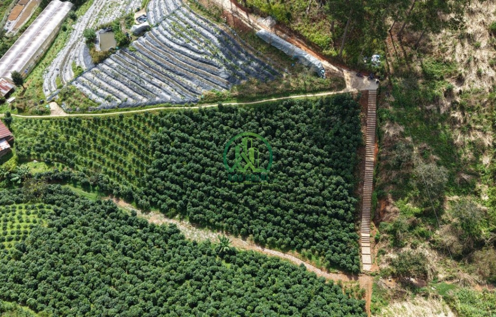 🌟 CẦN BÁN ĐẤT TẠI XUÂN THỌ, P. XUÂN TRƯỜNG - ĐÀ LẠT