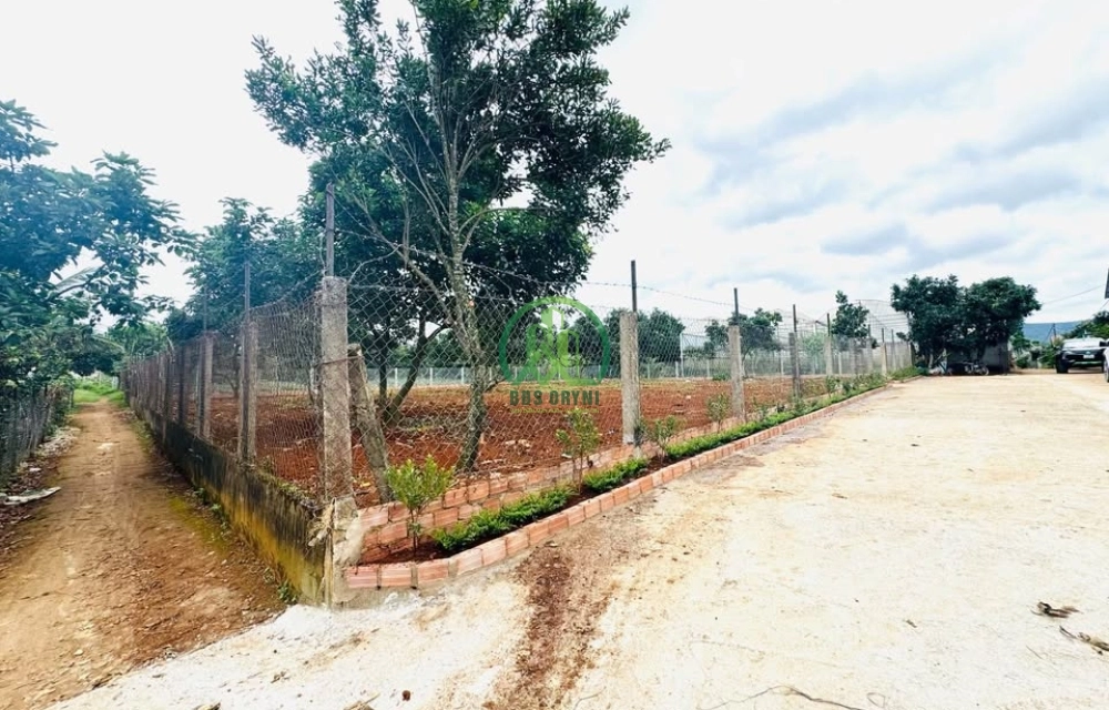 CẦN BÁN LÔ ĐẤT ĐẸP 3 MẶT TIỀN – TÀ NUNG, PHƯỜNG CAM LY – ĐÀ LẠT