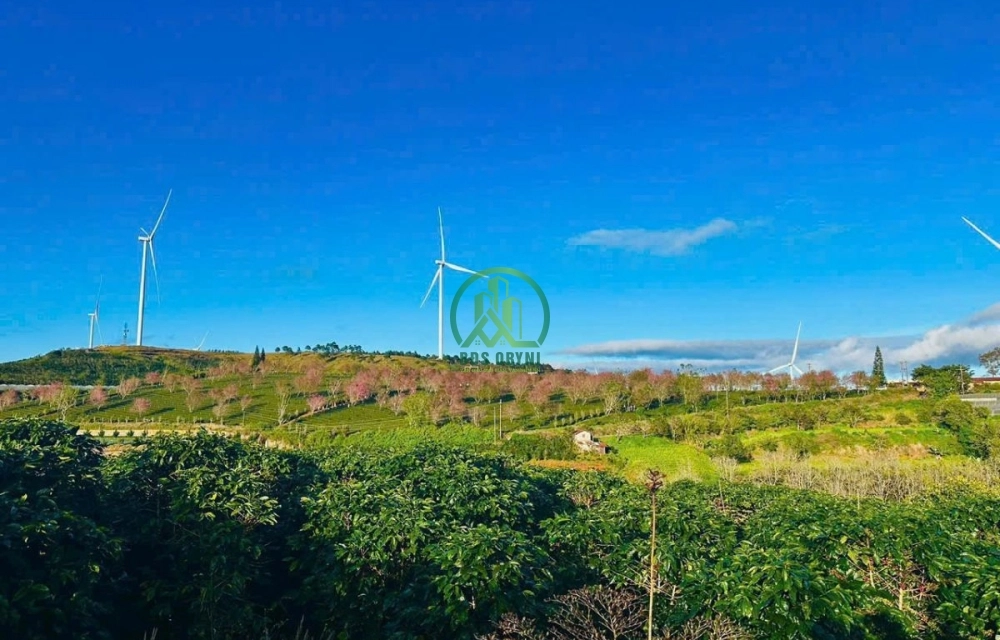 🏡 CẦN BÁN 03 LÔ ĐẤT TẠI CẦU ĐẤT - PHƯỜNG XUÂN TRƯỜNG - ĐÀ LẠT (xã Trạm Hành cũ)