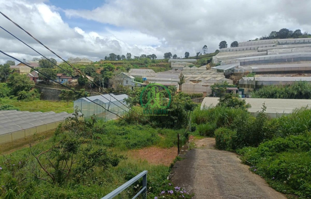 🌤 CẦN BÁN LÔ ĐẤT ĐƯỜNG HÙNG VƯƠNG - PHƯỜNG XUÂN TRƯỜNG - ĐÀ LẠT (P11 cũ)