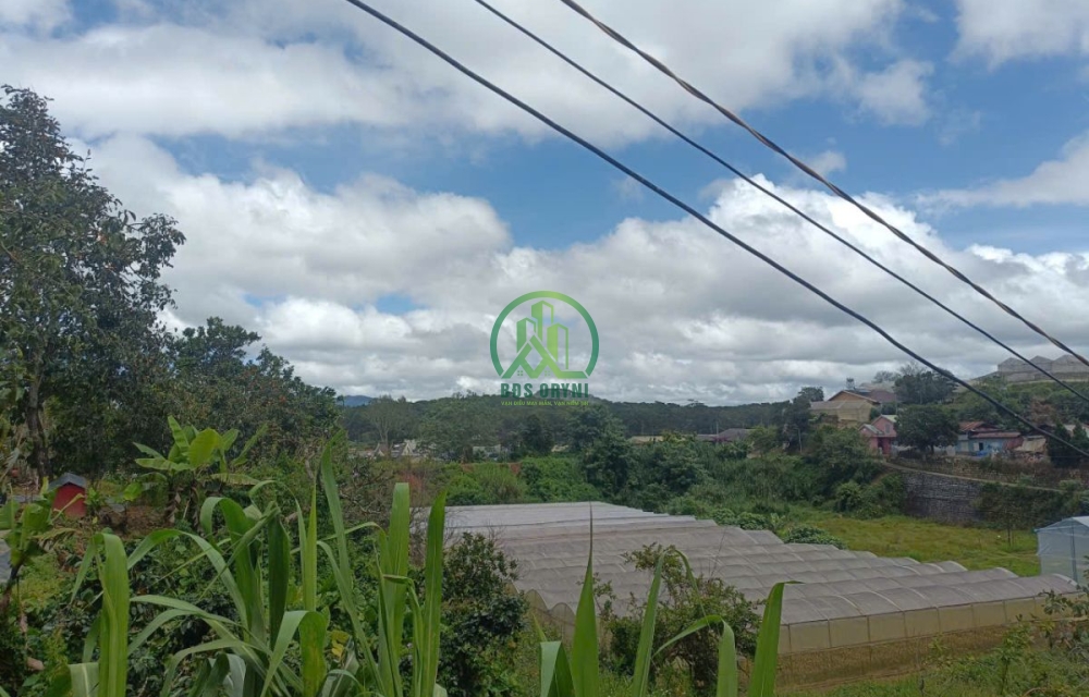 🌤 CẦN BÁN LÔ ĐẤT ĐƯỜNG HÙNG VƯƠNG - PHƯỜNG XUÂN TRƯỜNG - ĐÀ LẠT (P11 cũ)