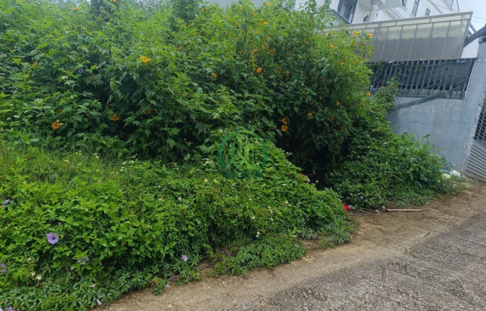 🌤 CẦN BÁN LÔ ĐẤT ĐƯỜNG HÙNG VƯƠNG - PHƯỜNG XUÂN TRƯỜNG - ĐÀ LẠT (P11 cũ)