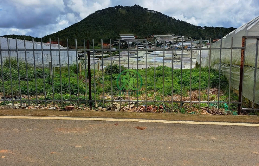 🌸CẦN BÁN ĐẤT ĐẸP THÁI PHIÊN, P. LÂM VIÊN - ĐÀ LẠT 