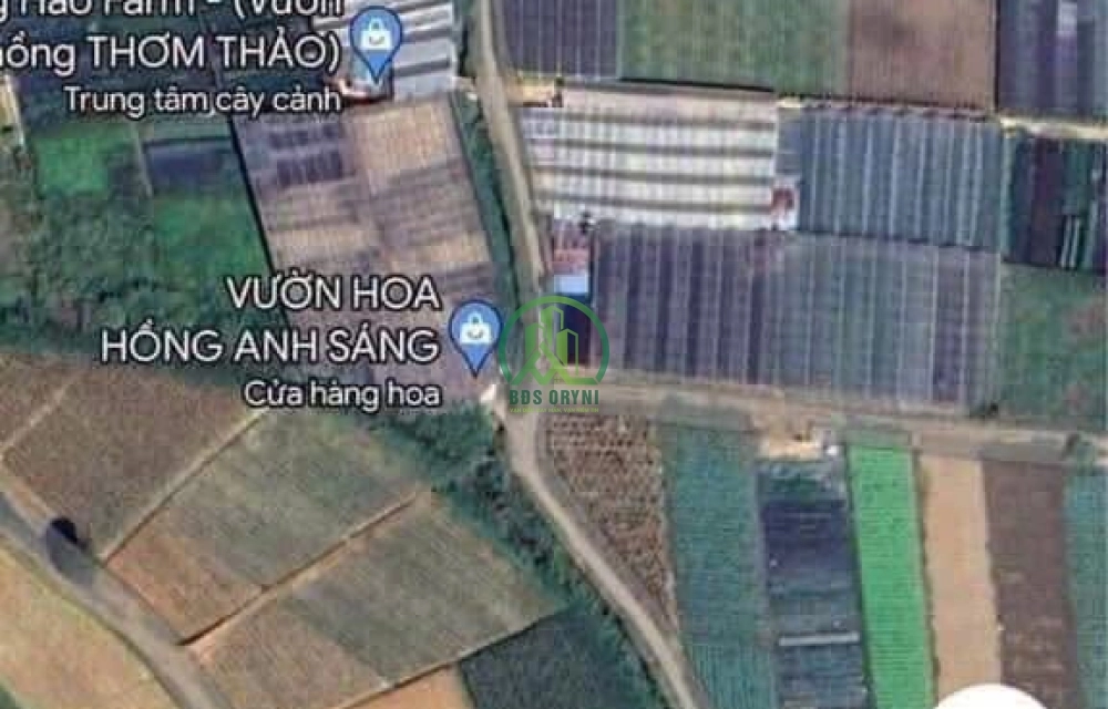 🌤 CẦN BÁN LÔ ĐẤT NÔNG NGHIỆP TẠI P. XUÂN HƯƠNG - ĐÀ LẠT (P10 cũ)