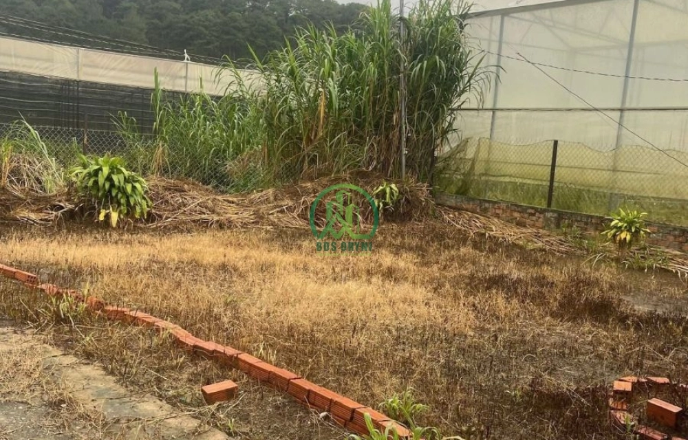 🌤 CẦN BÁN LÔ ĐẤT NÔNG NGHIỆP TẠI P. XUÂN HƯƠNG - ĐÀ LẠT (P10 cũ)