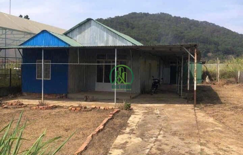 🌤 CẦN BÁN LÔ ĐẤT NÔNG NGHIỆP TẠI P. XUÂN HƯƠNG - ĐÀ LẠT (P10 cũ)