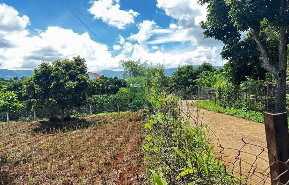 ✨ CẦN BÁN LÔ ĐẤT BẰNG PHẲNG TẠI NAM BAN - LÂM HÀ