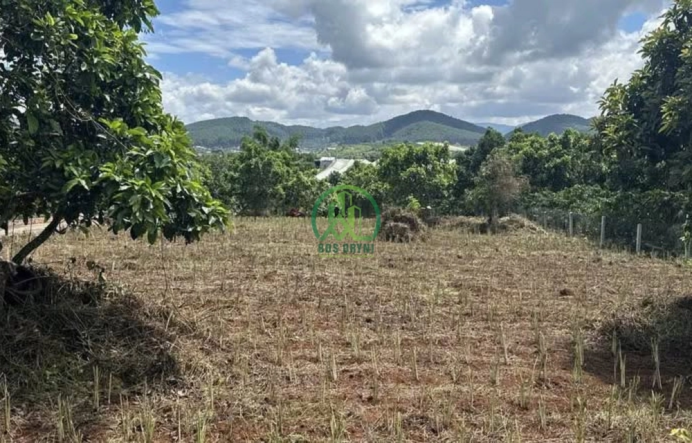 ✨ CẦN BÁN LÔ ĐẤT BẰNG PHẲNG TẠI NAM BAN - LÂM HÀ