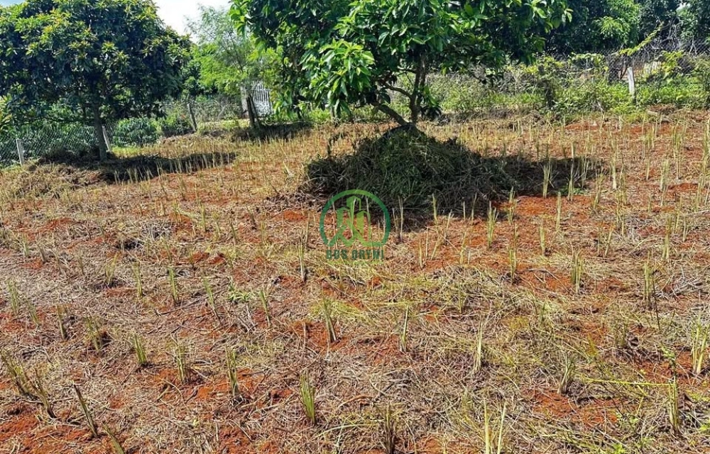 ✨ CẦN BÁN LÔ ĐẤT BẰNG PHẲNG TẠI NAM BAN - LÂM HÀ