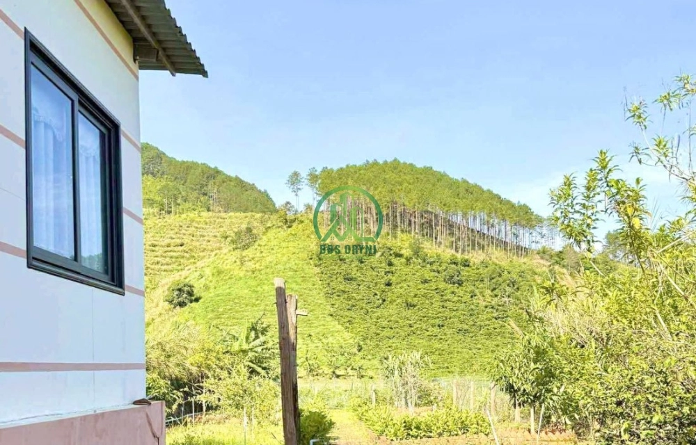 🌟 CẦN BÁN NHÀ ĐẤT TẠI LÂM HÀ - LÂM ĐỒNG 💥