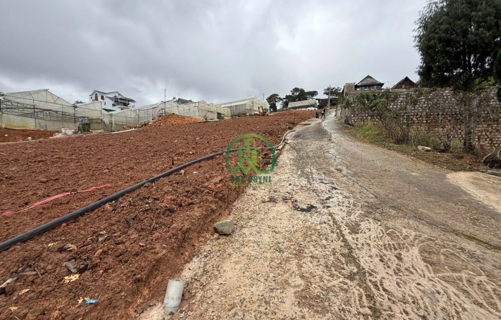 🌤 CẦN BÁN LÔ ĐẤT TRỊNH HOÀI ĐỨC, P. XUÂN TRƯỜNG - ĐÀ LẠT (P11 cũ)