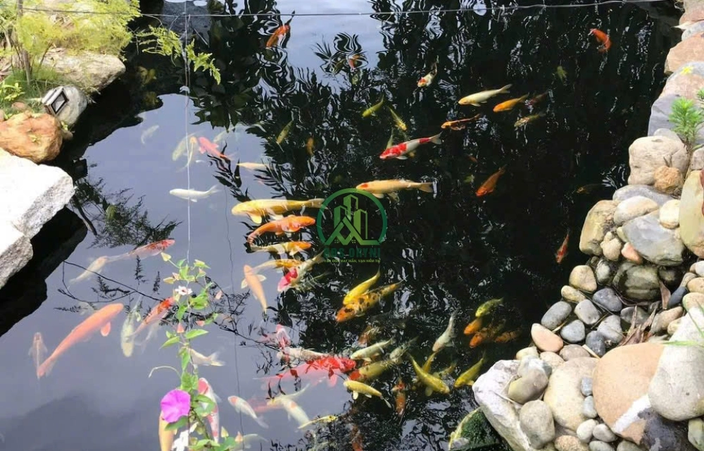 🌤 CẦN BÁN HOMESTAY NGUYỄN ĐÌNH QUÂN, P. CAM LY - ĐÀ LẠT (P5)