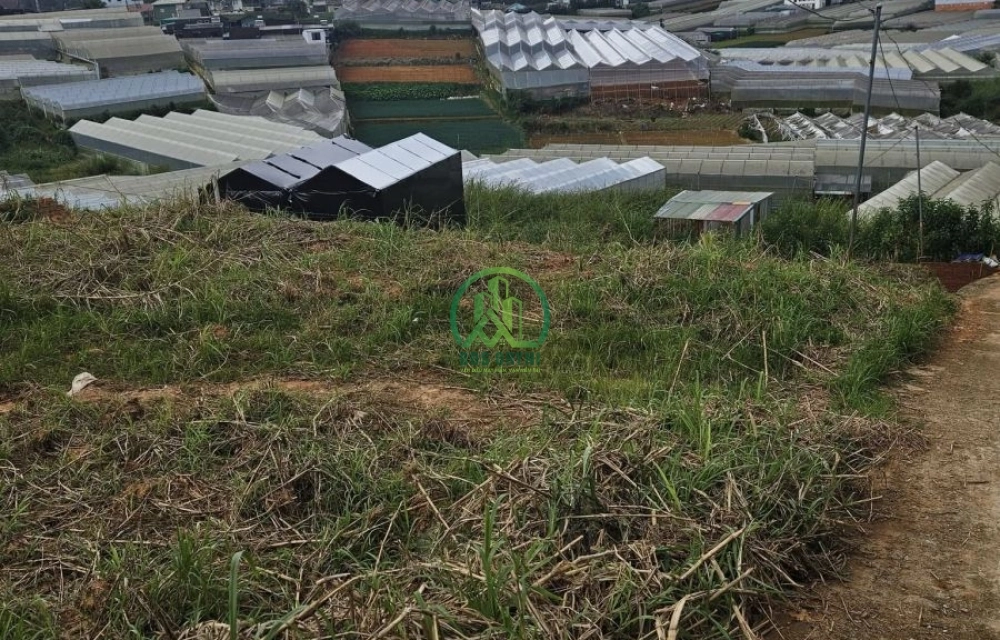 🏡 CẦN BÁN ĐẤT 2 MẶT TIỀN ĐƯỜNG CAO THẮNG- P. LANGBIANG- ĐÀ LẠT