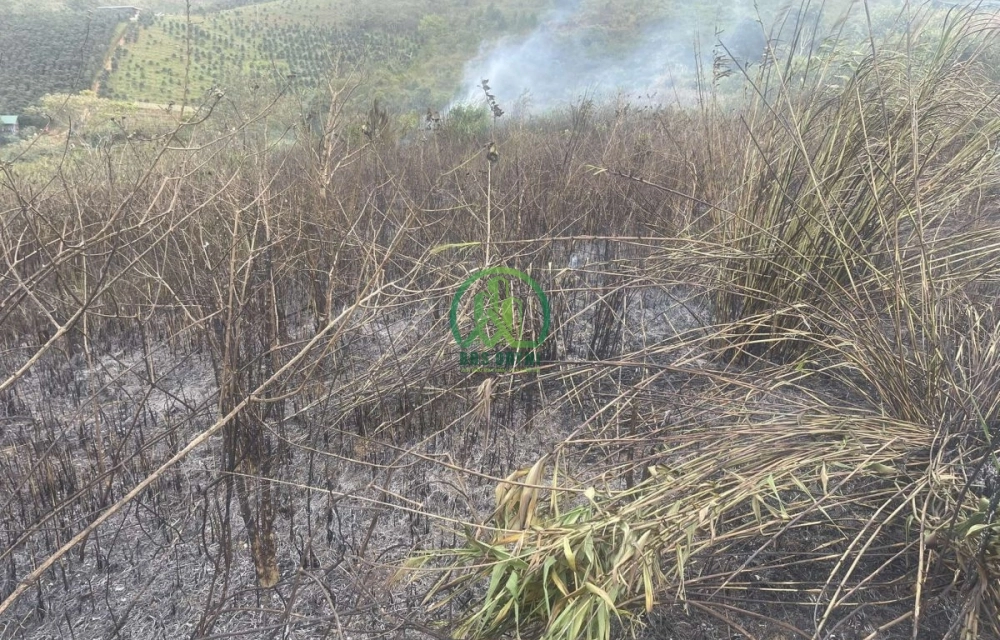 🏡 CẦN BÁN ĐẤT ĐẠ SAR- P.LANGBIANG - ĐÀ LẠT