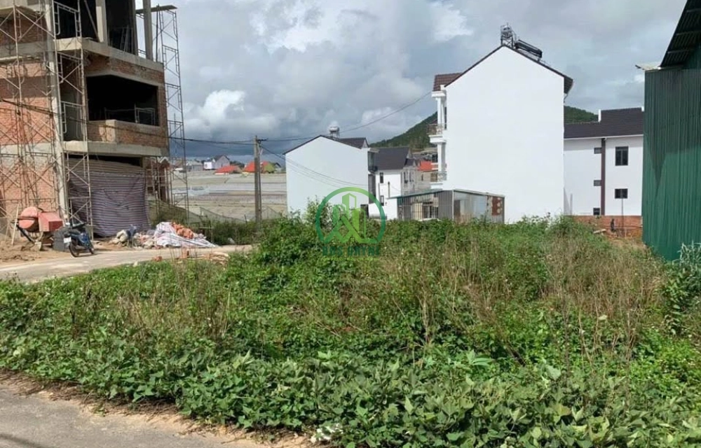 🏡 CẦN BÁN ĐẤT ĐƯỜNG NGUYỄN HỮU CẦU, P. LÂM VIÊN - ĐÀ LẠT