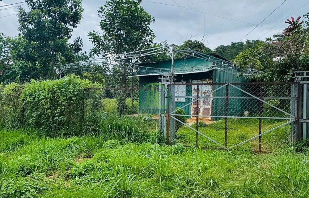 CẦN BÁN LÔ ĐẤT NGAY CHÂN ĐÈO PRENN -ĐÀ LẠT
